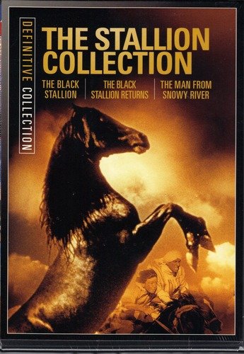 Stallion Collection/Stallion Collection